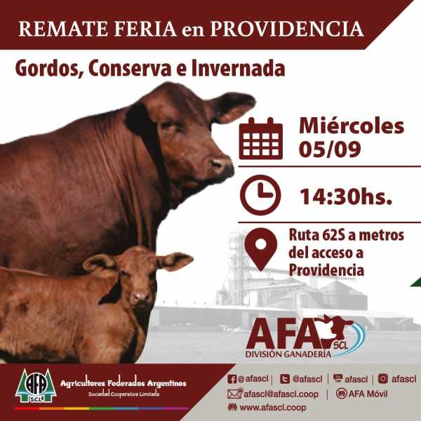 5 Sep. AFA remate feria en Providencia