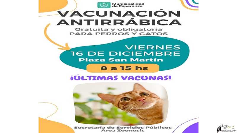 Viernes se vacuna en plaza San Martin a perros y gatos de 8 a 15 horas