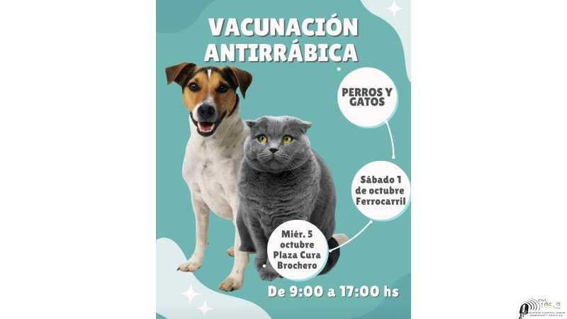 Vacunación antirrabica gratuita para perros y gatos aqui dias y horarios