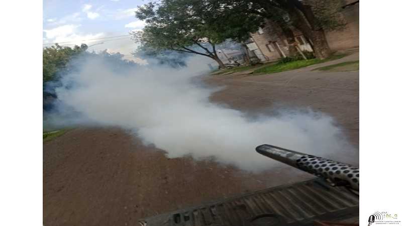 Dengue: La Municipalidad de Esperanza informa medidas