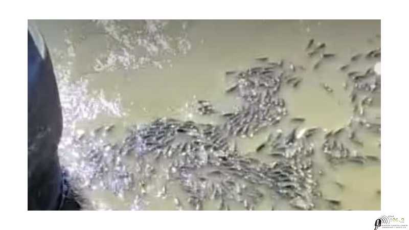 Nuestro arroyo Cululú querido, como estas sufriendo ( ver 4 fotos)