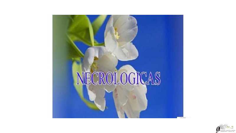 Falleció 31 de Marzo 2024 en Esperanza Beatriz Myriam Stegmayer de Hynes 80 años 