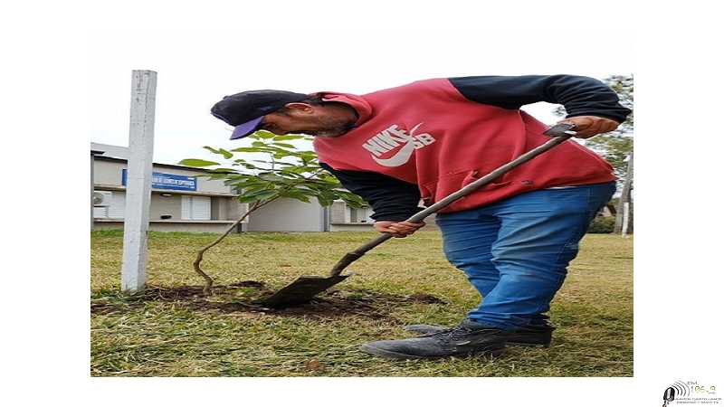 El Gobierno de la Ciudad junto a los vecinos, en la plantación de nuevos árboles.