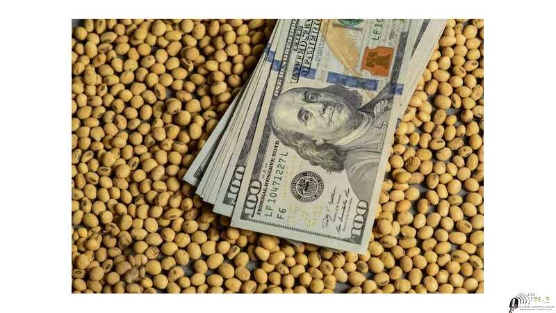 Cotizaciones en Rosario Granos-Dolares .Petróleo Cierres 18-07-25