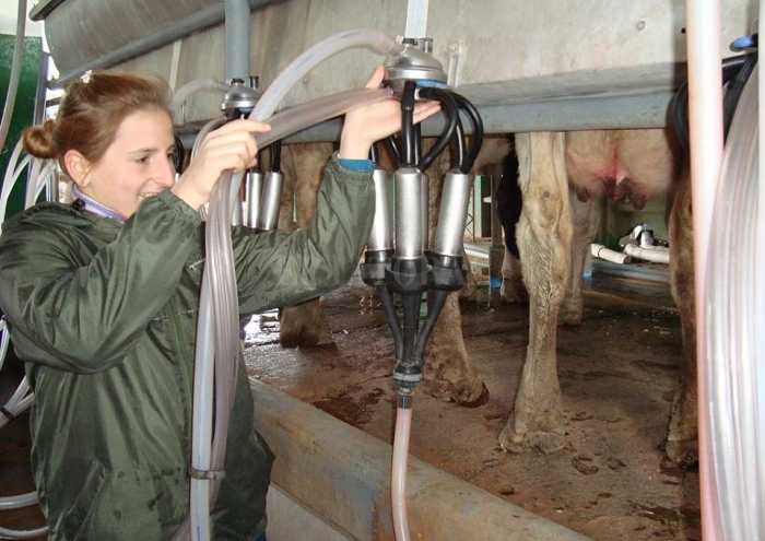 Media sanción para declarar en emergencia a la industria láctea