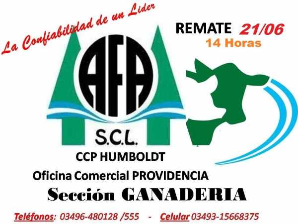 Organiza Agricultores  Federados Argentinos Suc Humboldt remate de animales vacunos en Providencia