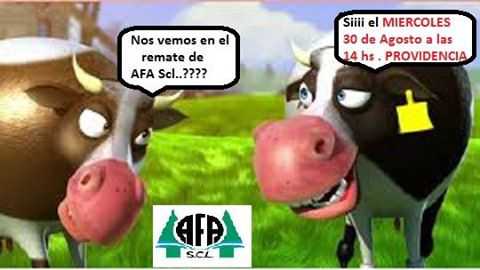 Miercoles 30 de Agosto  Remata en Providencia Agricultores Federados Argentinos