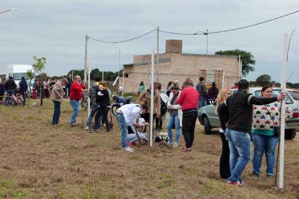 Inscripciones abiertas para el programa de forestación“Estamos construyendo una Esperanza sana para el futuro”