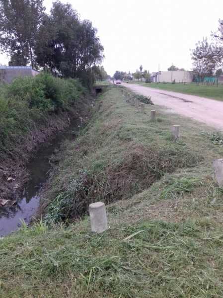 “Continuamos con las tareas de limpieza de los canales de la ciudad” explicó Franconi. 