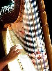 Festival Internacional “Esperanza de Arpas” sábado 2 y domingo 3 de junio el Centro Cultural Municipal