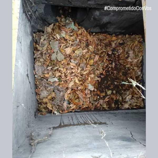 Algún vecino de Galvez y Rodríguez Peña barrió las hojas y las arrojó a la alcantarilla dijo Martín Franconi