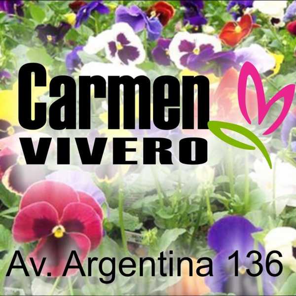 CARMEN VIVERO   en Avda Argentina 136 y también frente a este local (Ver imagenes) 
