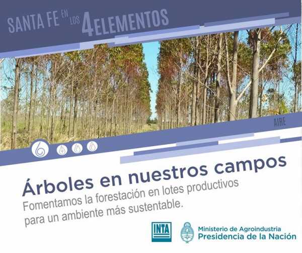 INTA Santa Fe  ¿Querés saber por qué fomentamos la implantación de árboles? 