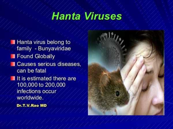 COMUNICADO A TODA LA COMUNIDAD DE ESPERANZA Las autoridades sanitarias previenen sobre la presencia Hantavirus en la localidad