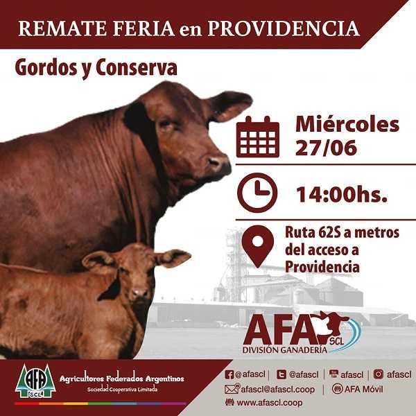 Agricultores federados tiene este miercoles su remate de animales en Providencia