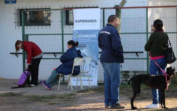 El 15 y 16 de agosto habrá más castraciones gratuitas en la ciudad.