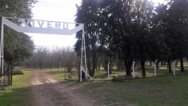 El Gobierno de la Ciudad trabaja para hacer del vivero, una referencia medioambiental en la región.