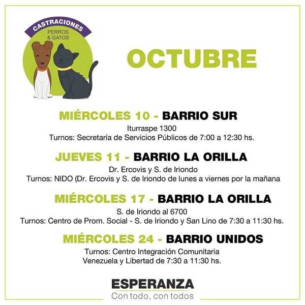Castraciones perros y gatos fechas y lugares que se realizarán en Esperanza