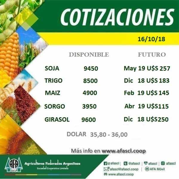AFA Humboldt cotización granos  26 / 10 /2018