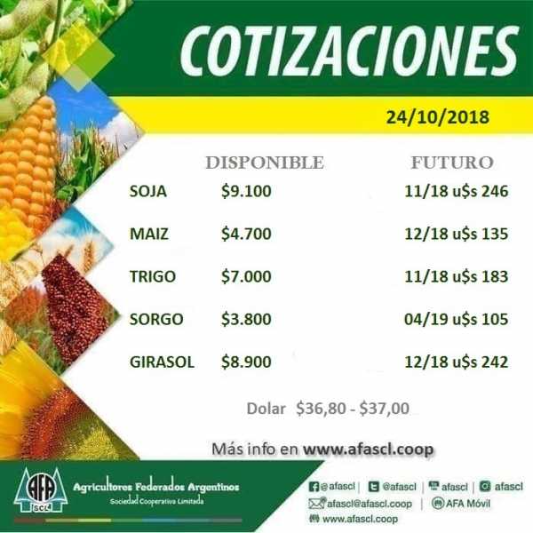 AFA Humboldt cotización granos  25 / 10 /2018