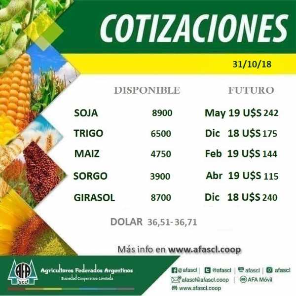 A.F.A  cotización precios de los granos 31/10/2018