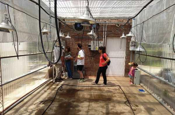 La FCA cuenta con un moderno invernadero