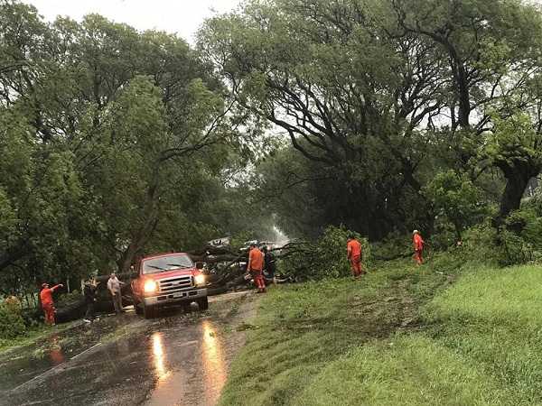 Ramas de Tipas obtruyeron ruta 70 en Humboldt