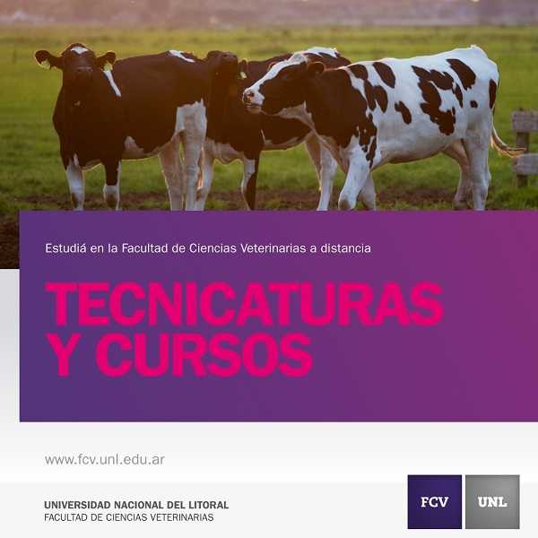 Ofertas para el 2019 Educación a distancia: inscripciones abiertas a las propuestas de Ciencias Veterinarias
