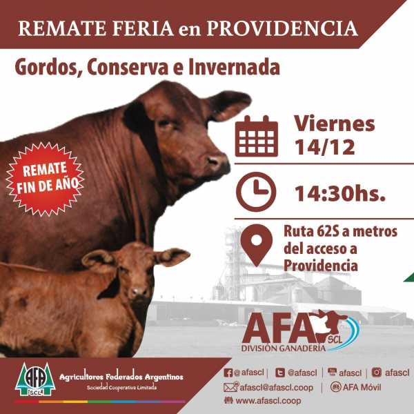 AFA HUMBOLDT realiza su remate Feria en Providencia 14/12  14 horas