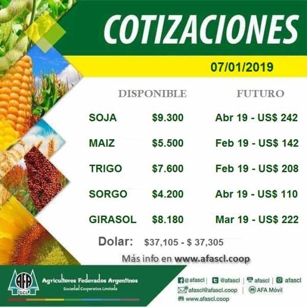 AFA Humboldt cotización granos  7 / 1 /2019