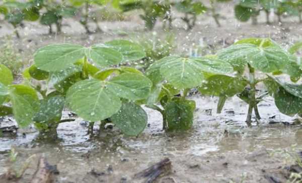 Las tormentas vuelven a ser protagonistas del clima en Argentina