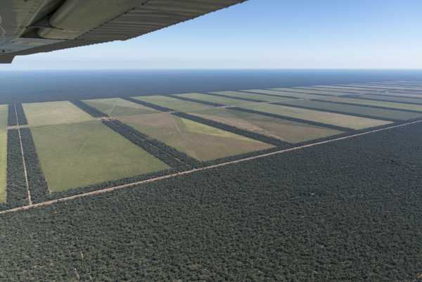    Greenpeace: “Las inundaciones serán recurrentes si no se frena la deforestación”