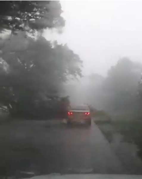 ALERTAS AUTOMOVILISTAS RUTA CORTADA A LA ALTURA DE ESPERANZA ÁRBOLES CAÍDOS EN LA RUTA Y CAEN GRANIZO EN ESTOS MOMENTOS.(VER VIDEO)