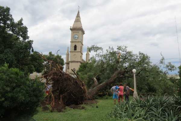 Ver aqui 35 fotos de Esperanza tras la tormenta