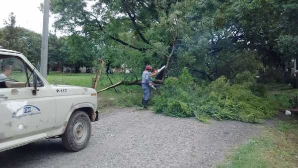 Franconi actualiza información: “Con 7 cuadrillas de personal municipal seguimos  en las calles para normalizar la ciudad”