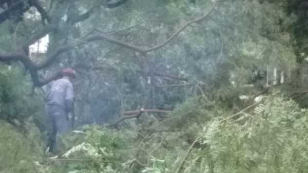 Andrea Martínez: En momentos difíciles necesitamos unión, trabajo y solidaridad