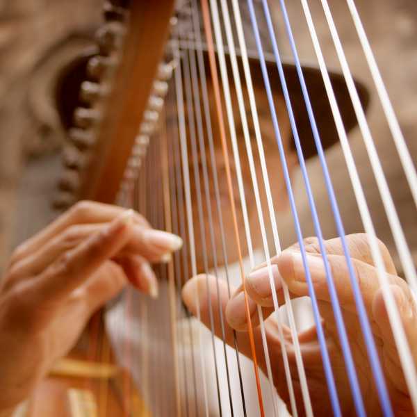 Aqui video del evento importante de Arpas en Esperanza 2019