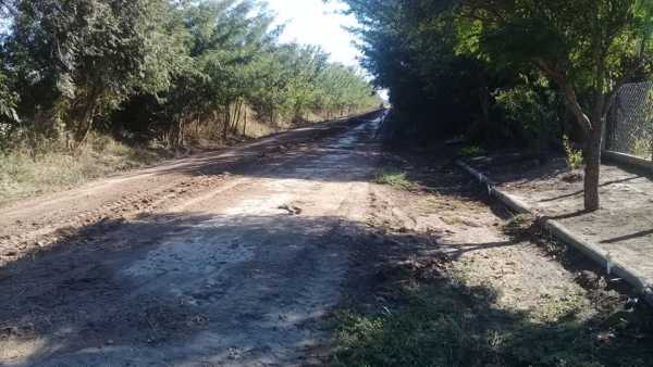 Franconi este Lunes, 4 equipos trabajaron en caminos rurales se pide, cortar los renovales para realizar mejores las tareas 