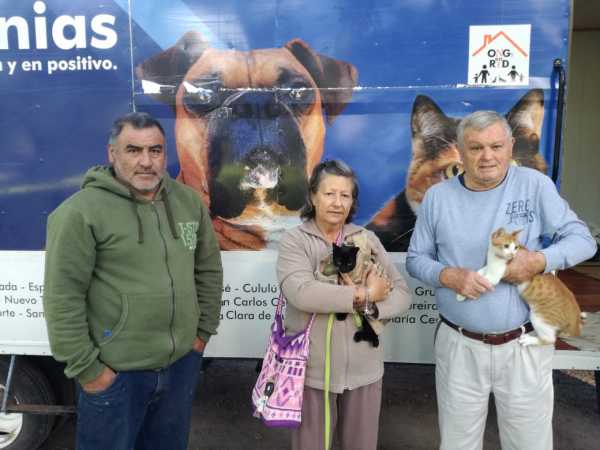 Martes y Miercoles se trabajó en Barrios con castraciones de animales