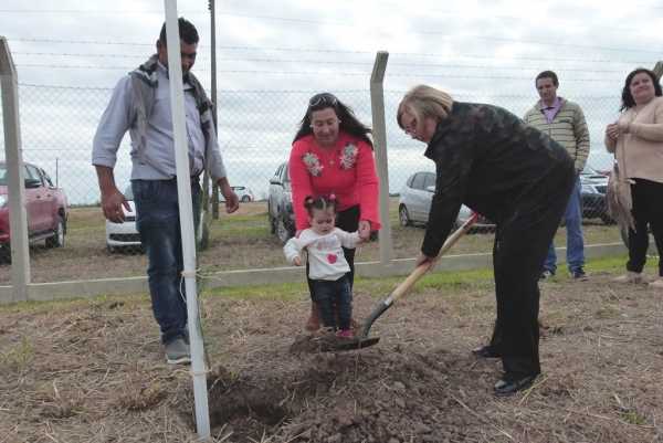 Abiertas las inscripciones para el programa de forestación “Estamos construyendo una Esperanza sana para el futuro”
