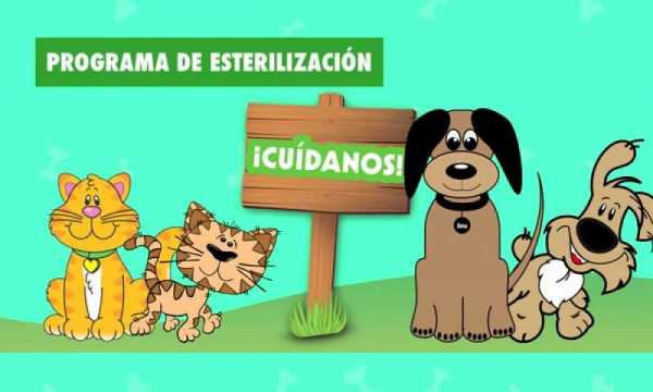 Nuevas fechas para las castraciones en los barrios.