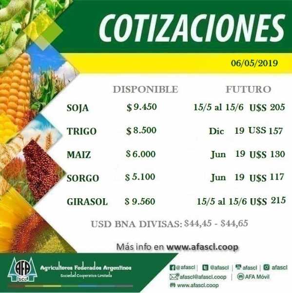 AFA Humboldt cotización granos  7 / 4 /2019