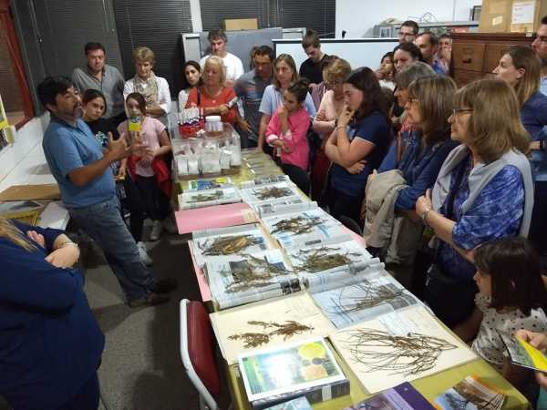 Noche de los Museos la Fave realizó una muy buena muestra (ver 27 fotos)