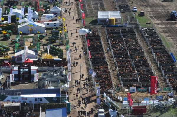  AgroActiva 26 al 29 de junio en Armstrong (Santa Fe) , la ganaderia suma atractivos y prevé gran presencia de reproductores  