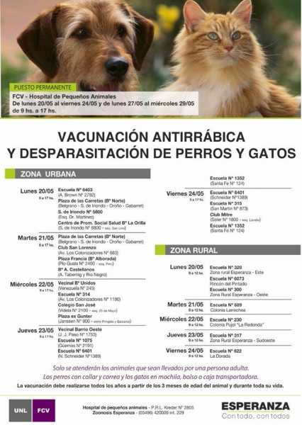 Continua la vacunación de perros y gatos en distintos barrios