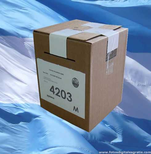 Elecciones 2019: agende el cronograma electoral para ir a las urnas a Nivel Prov y Nacional