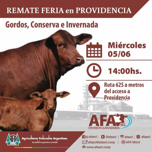 5 JUNIO Remate feria A.F.A Humboldt en Providencia
