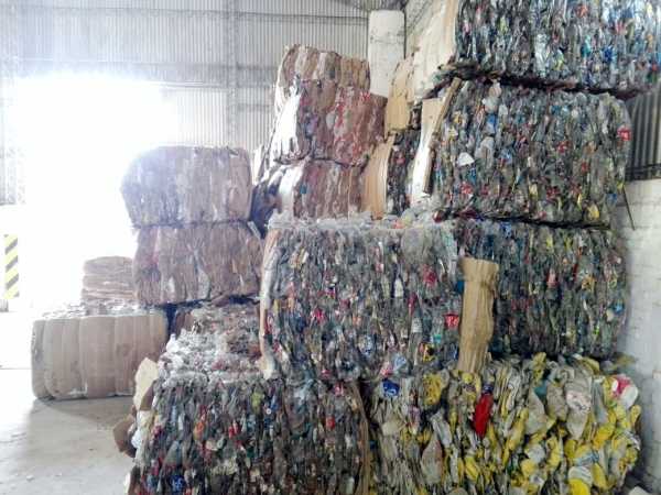 La Ciudad en el día mundial del Medio Ambiente (7 imagenes)