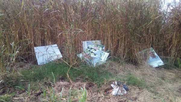 Franconi: “Me preocupa el nivel de vandalismo para con la publicidad política”