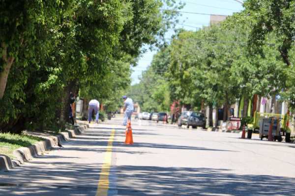 Meiners: “Promover el uso de la bicicleta, es promover una ciudad a escala humana”